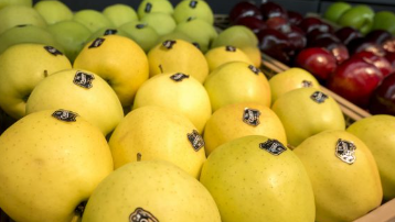 frutas-frescas